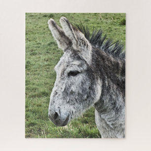 QUEBRA-CABEÇA DONKEY