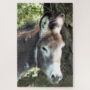 QUEBRA-CABEÇA DONKEY