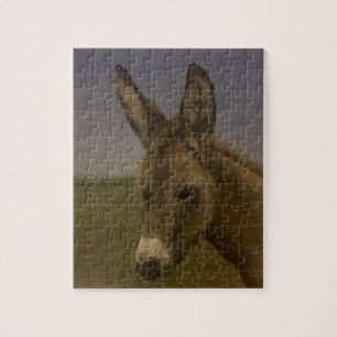 Quebra-cabeça Donkey
