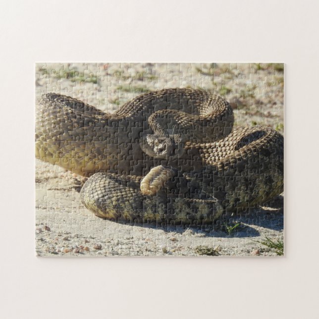 Quebra-cabeça dos animais selvagens, cobras, (Horizontal)