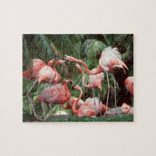 Quebra-cabeça dos flamingos