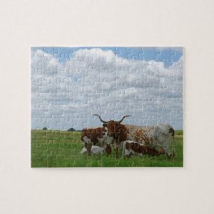 Quebra-cabeça dos Longhorns de Kansas