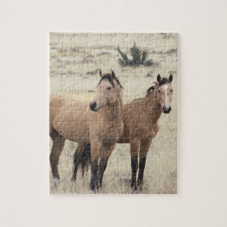 Quebra-cabeça dos Mustangs de Steens