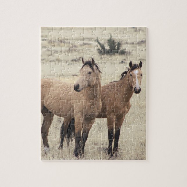 Quebra-cabeça dos Mustangs de Steens (Vertical)