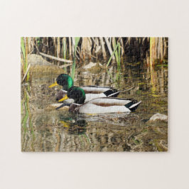 Quebra-cabeça dos patos do pato selvagem