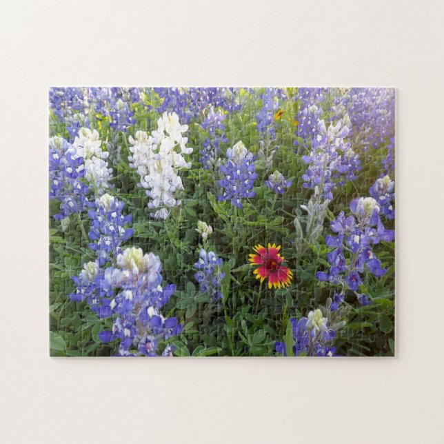 Quebra-cabeça dos Wildflowers 10x14 de Texas (Horizontal)