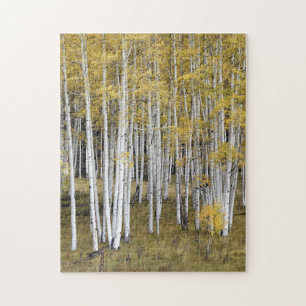 Quebra-cabeça dourado das árvores de Aspen