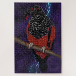 Quebra-cabeça Dracula Parrot