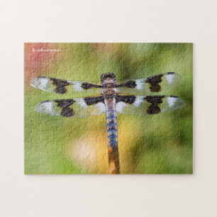 Quebra-cabeça Dragonfly Skimmer De Oito Pontas