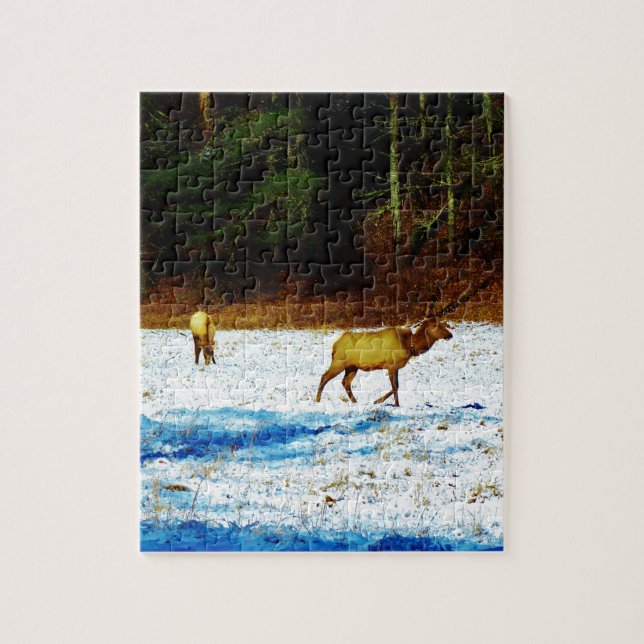 QUEBRA-CABEÇA DSC00131.JPG (Vertical)