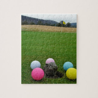 QUEBRA-CABEÇA DSCF0692.JPG