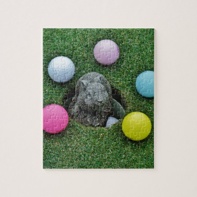 QUEBRA-CABEÇA DSCF0698.JPG (Vertical)