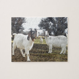 Quebra-cabeça Duas cabras