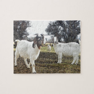 Quebra-cabeça Duas cabras