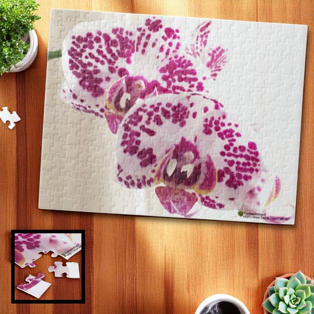 Quebra-cabeça Duas Fotografias Orquídeas Tropicais Roxas e Branc (tropical orchid jigsaw puzzle 252 piece, ll" x 14" )
