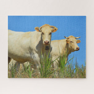 Quebra-cabeça Duas vacas em França