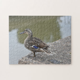 Quebra-cabeça Duck by the Water Bird Nature Photography