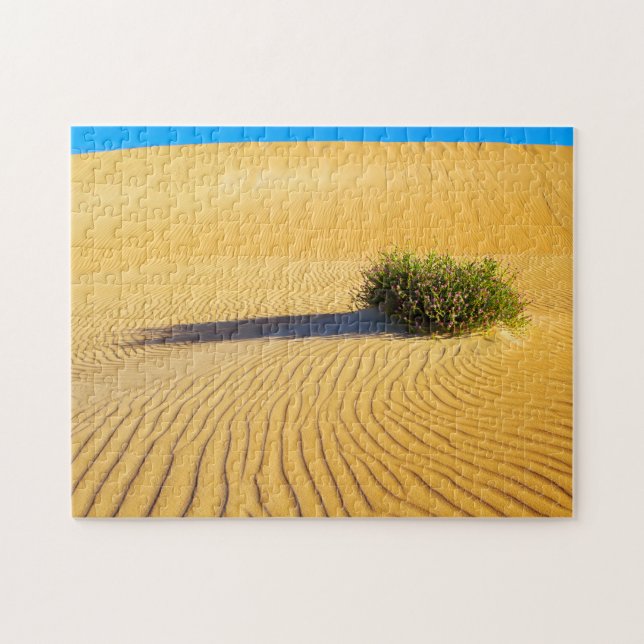 Quebra-cabeça DUNAS OCEANAS DO excelente DE 11x14 POLEGADAS (Horizontal)
