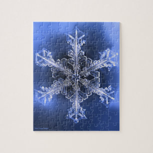 Quebra-cabeça Duro de floco de neve Real Azul e Branco