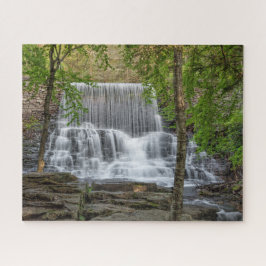 Quebra-cabeça Duro Stametz Dam 16x20
