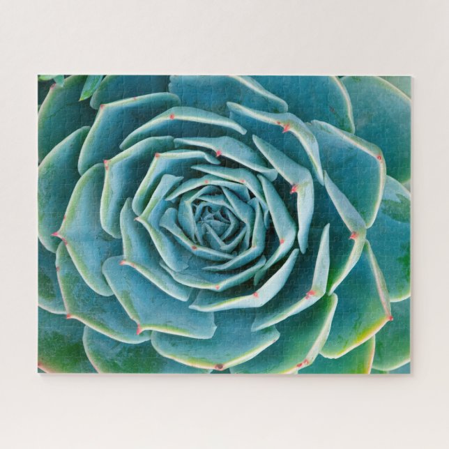Quebra-cabeça Echeveria Roseta, Jardim Secreto de Marrakech (Horizontal)