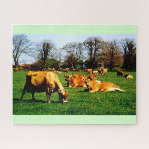 Quebra-cabeça Efetivos de vacas de Jersey