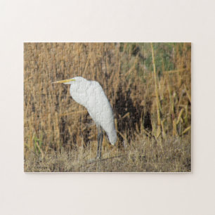 Quebra-cabeça - Egret na grama