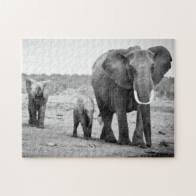 Quebra-cabeça Elefante africano & vitelas | Kenya, África (Horizontal)