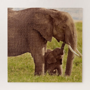 Quebra-cabeça Elefante & bebê das imagens de Getty