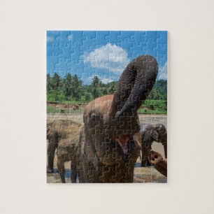 Quebra-cabeça Elefante Sri Lanka