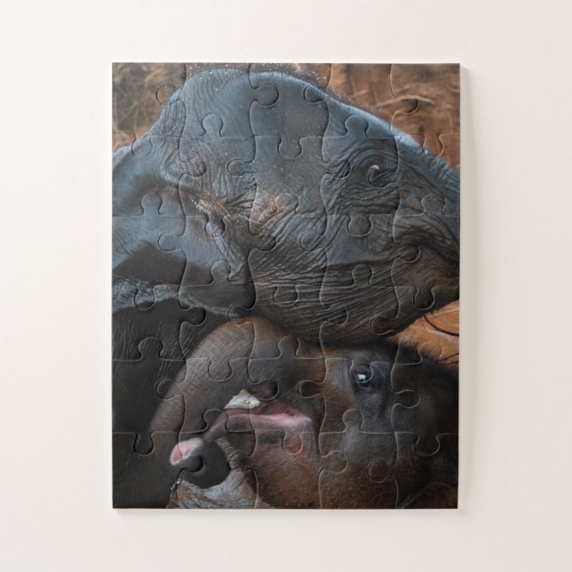 Quebra-cabeça Elefantes Bebês sorrindo Água (Vertical)