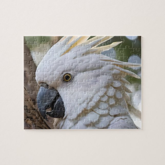 Quebra-cabeça Elegância em Branco: A Majestosa Cockatoo Aussie (Horizontal)
