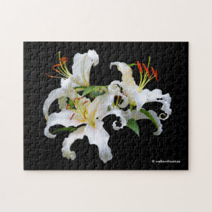 Quebra-cabeça Elegante Casa Blanca White Lílias Orientais