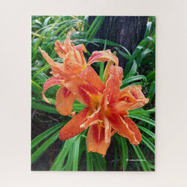 Quebra-cabeça Elegante Feita Laranja Dupla Flor Daylily