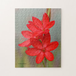 Quebra-cabeça Elegante River Lily / Flores Vermelhas da Bandeira