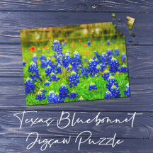 Elegante Russo de Campo Bluebonnet do Texas