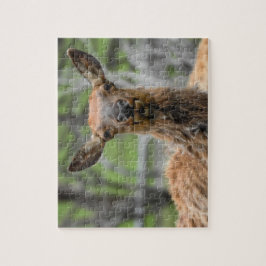 Quebra-cabeça Elk Americano