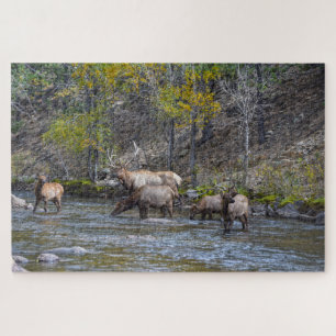 Quebra-cabeça Elk Herd no Rio Big Thompson