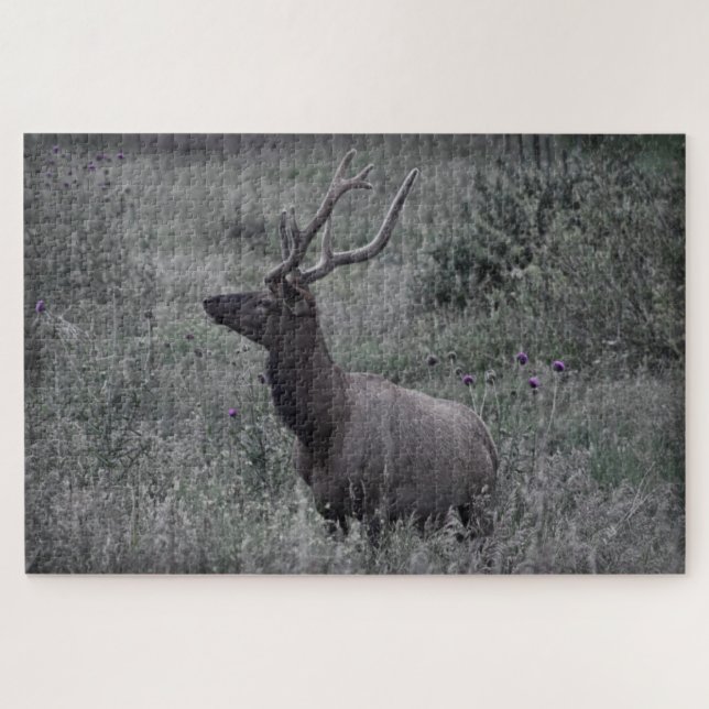 Quebra-cabeça Elk Rocky Mountain - RMNP - 20x30 - 1014 pcs (Horizontal)