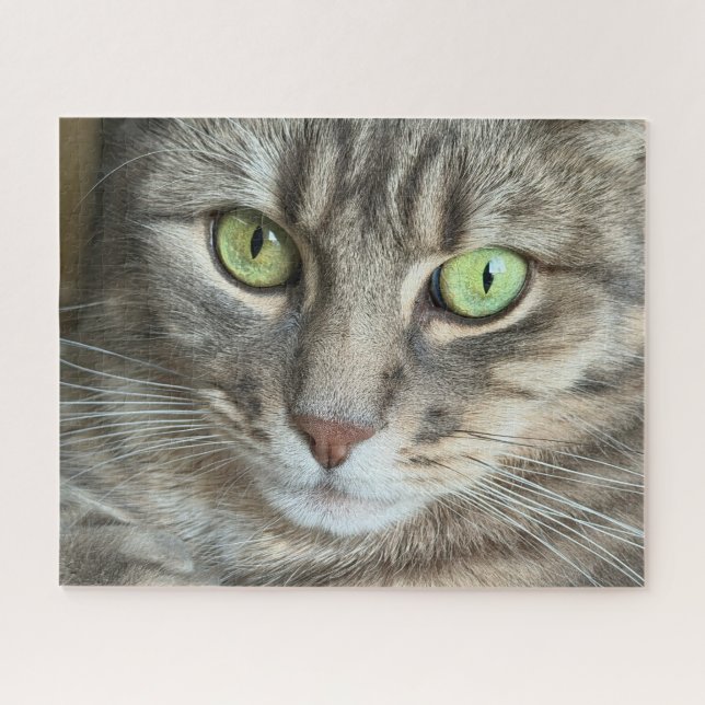 Quebra-cabeça Emerald Eyes – Portrait of a Green-Eyed Cat (Horizontal)