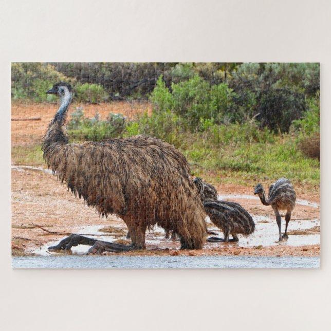 Quebra-cabeça Emu e pintinhos brincando nas poças, Austrália (Horizontal)