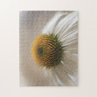 Quebra-cabeça Enchanting White Swan Echinacea Puzzle