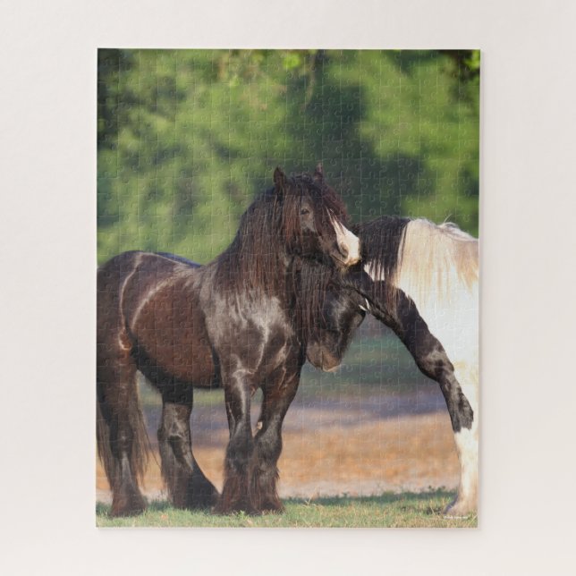 Quebra-cabeça Encontro com Vanners Ciganos Pretos e Brancos (Vertical)