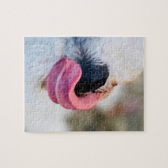 Quebra-cabeça Engraçado Cachorro Cachorro Tongue Branco Schnauze (Horizontal)