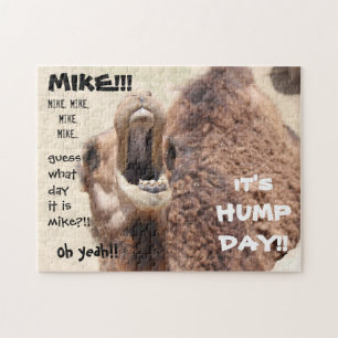 Quebra-cabeça Engraçado Camel "hump day". Adivinha que dia é M
