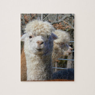 Quebra-cabeça engraçado da alpaca