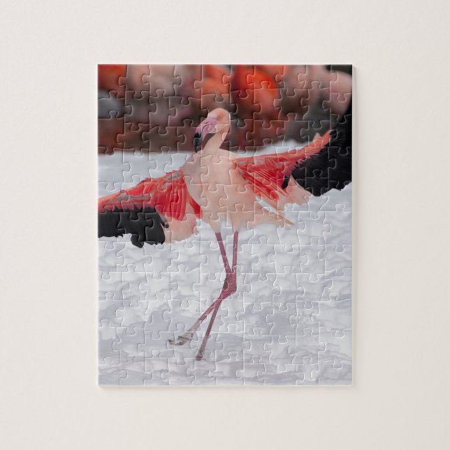 Quebra-cabeça Engraçado Flamingo dançando flamenco (Vertical)