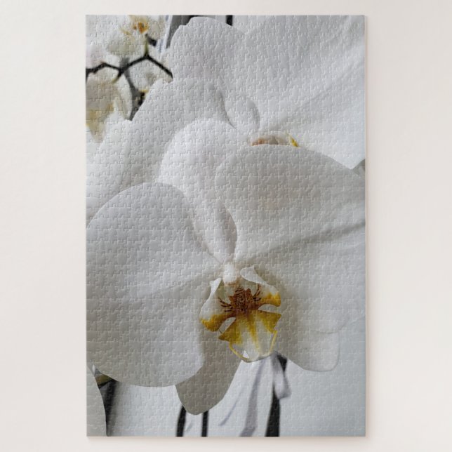 Quebra-cabeça Enigma da Orquídea Branca (Vertical)