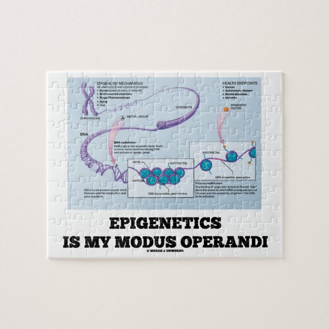 Quebra-cabeça Epigenetics é meu modus operandi (os mecanismos) (Horizontal)