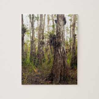 Quebra-cabeça Epiphyte Bromeliad na floresta de Florida